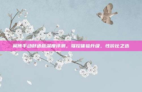 翼博手动舒适版深度评测，驾控体验升级，性价比之选