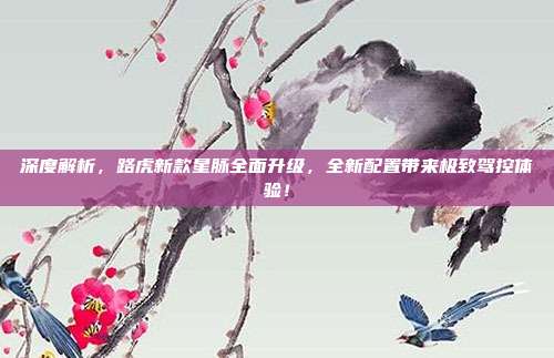 深度解析，路虎新款星脉全面升级，全新配置带来极致驾控体验！