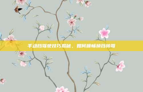 手动挡驾驶技巧揭秘，如何顺畅换挡转弯