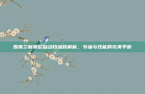 雪佛兰新赛欧自动挡油耗解析，节油与性能的完美平衡