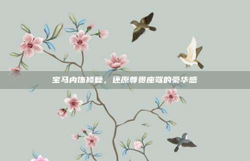 宝马内饰修复，还原尊贵座驾的豪华感