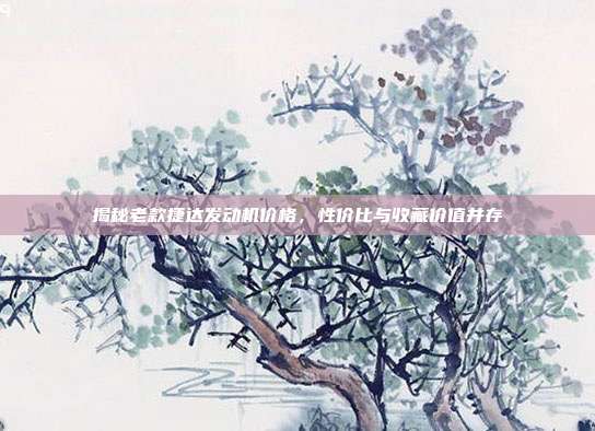 揭秘老款捷达发动机价格，性价比与收藏价值并存
