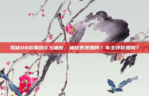 揭秘08款雅阁3.5油耗，油耗表现如何？车主评价如何？
