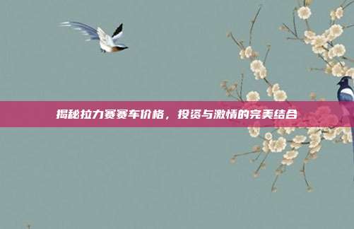 揭秘拉力赛赛车价格，投资与激情的完美结合