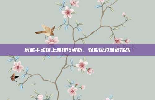 博越手动挡上坡技巧解析，轻松应对坡道挑战