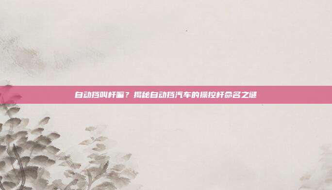 自动挡叫杆嘛？揭秘自动挡汽车的操控杆命名之谜