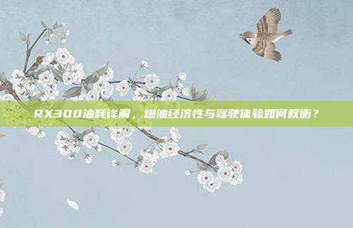 RX300油耗详解，燃油经济性与驾驶体验如何权衡？