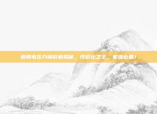 速腾电压力锅价格揭秘，性价比之王，家庭必备！