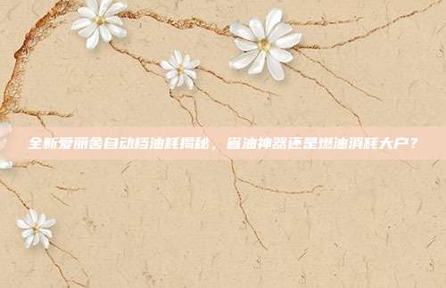 全新爱丽舍自动档油耗揭秘，省油神器还是燃油消耗大户？
