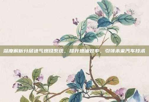 深度解析分层进气燃烧系统，提升燃油效率，引领未来汽车技术