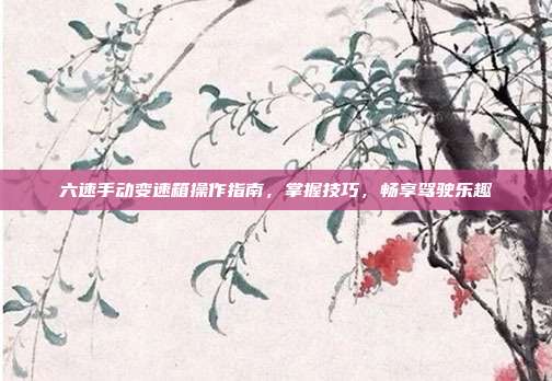 六速手动变速箱操作指南，掌握技巧，畅享驾驶乐趣