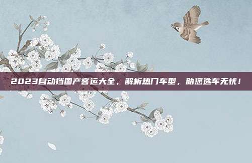2023自动挡国产客运大全，解析热门车型，助您选车无忧！