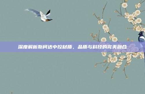 深度解析斯柯达中控材质，品质与科技的完美融合