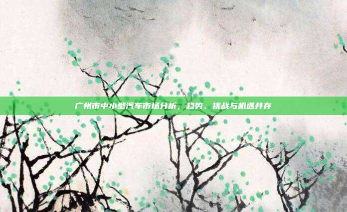 广州市中小型汽车市场分析，趋势、挑战与机遇并存