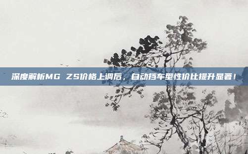 深度解析MG ZS价格上调后，自动挡车型性价比提升显著！