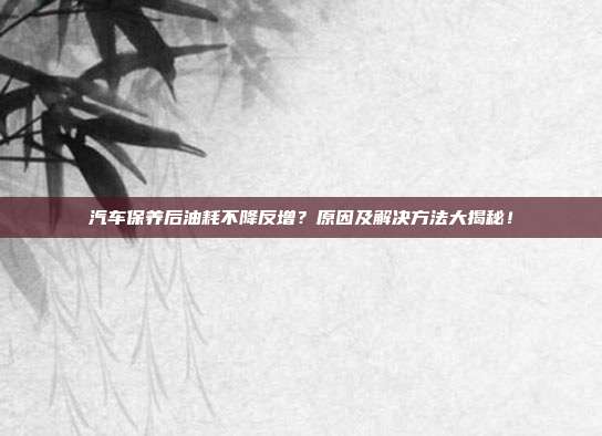 汽车保养后油耗不降反增？原因及解决方法大揭秘！