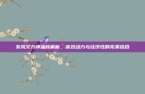 东风艾力绅油耗解析，高效动力与经济性的完美结合