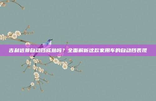 吉利远景自动挡成熟吗？全面解析这款家用车的自动挡表现