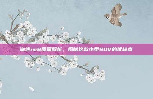 伽途im8质量解析，揭秘这款小型SUV的优缺点
