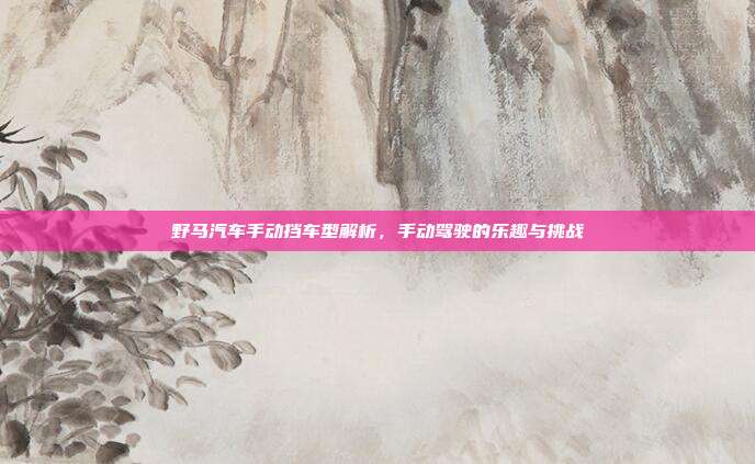 野马汽车手动挡车型解析，手动驾驶的乐趣与挑战
