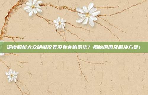 深度解析大众明锐仪表没有音响系统？揭秘原因及解决方案！