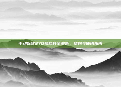 手动标致370换档杆全解析，结构与使用指南