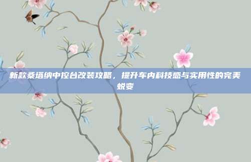 新款桑塔纳中控台改装攻略，提升车内科技感与实用性的完美蜕变