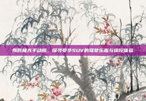 揽胜极光手动版，探寻豪华SUV的驾驶乐趣与操控体验