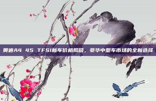 奥迪A4 45 TFSI新车价格揭晓，豪华中型车市场的全新选择