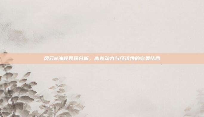 风云2油耗表现分析，高效动力与经济性的完美结合