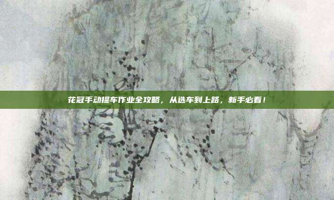花冠手动提车作业全攻略，从选车到上路，新手必看！
