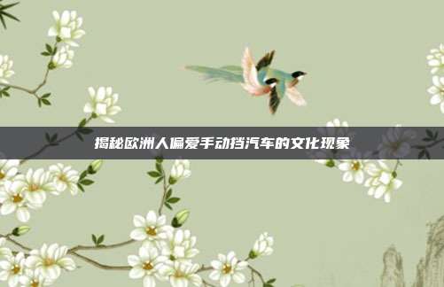 揭秘欧洲人偏爱手动挡汽车的文化现象