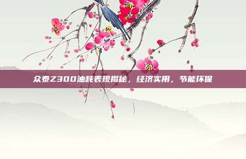 众泰Z300油耗表现揭秘，经济实用，节能环保