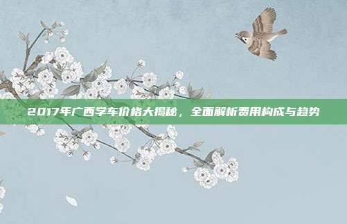 2017年广西学车价格大揭秘，全面解析费用构成与趋势