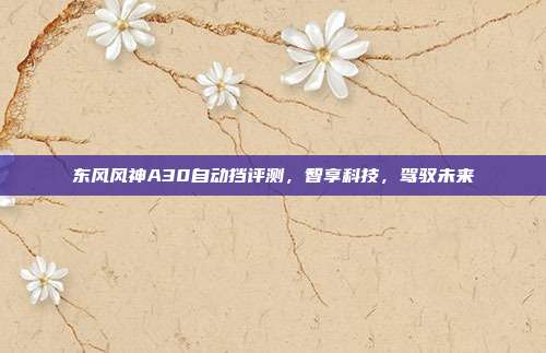 东风风神A30自动挡评测，智享科技，驾驭未来