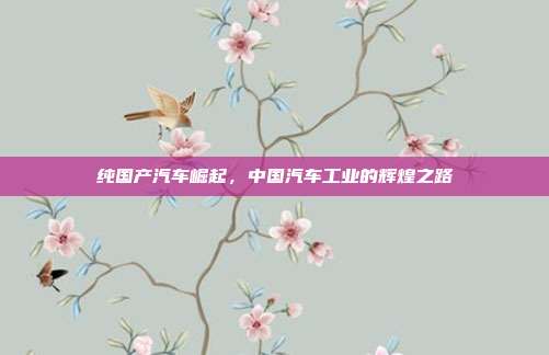 纯国产汽车崛起，中国汽车工业的辉煌之路