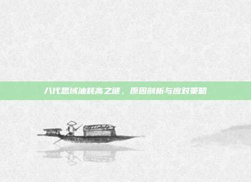 八代思域油耗高之谜，原因剖析与应对策略