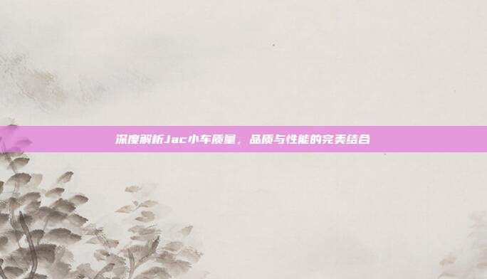 深度解析Jac小车质量，品质与性能的完美结合