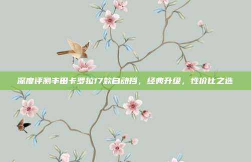 深度评测丰田卡罗拉17款自动挡，经典升级，性价比之选