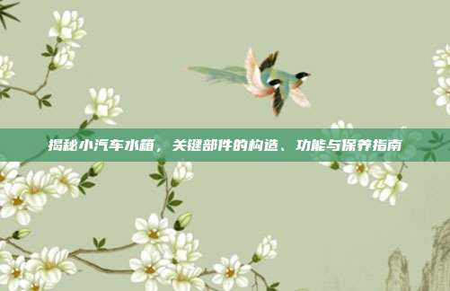 揭秘小汽车水箱，关键部件的构造、功能与保养指南
