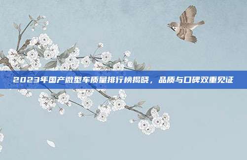 2023年国产微型车质量排行榜揭晓，品质与口碑双重见证