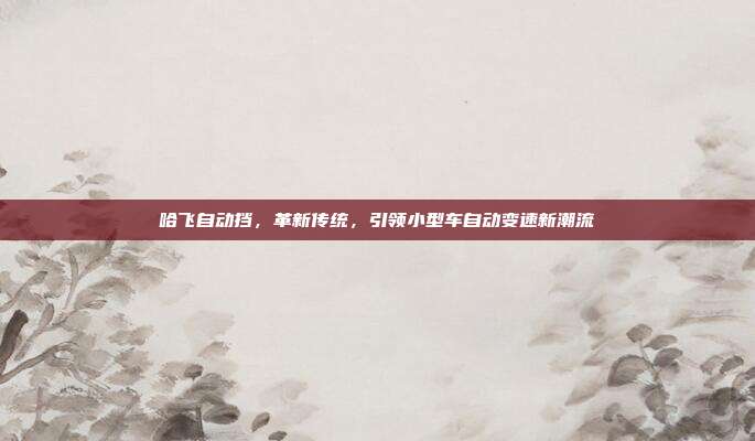 哈飞自动挡，革新传统，引领小型车自动变速新潮流
