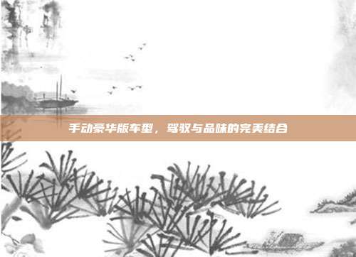 手动豪华版车型，驾驭与品味的完美结合