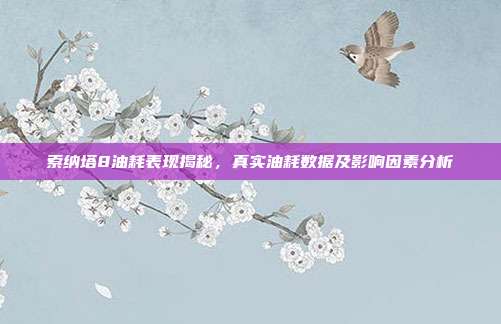 索纳塔8油耗表现揭秘，真实油耗数据及影响因素分析