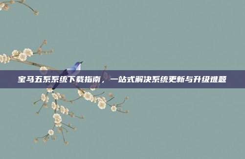 宝马五系系统下载指南，一站式解决系统更新与升级难题