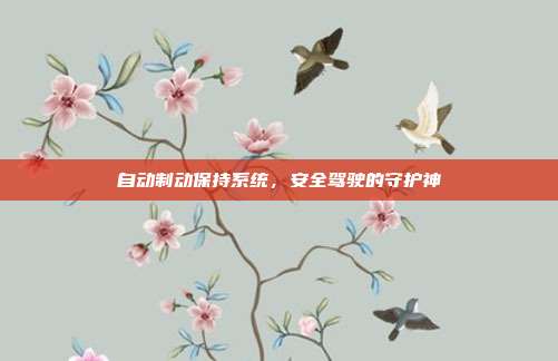 自动制动保持系统，安全驾驶的守护神