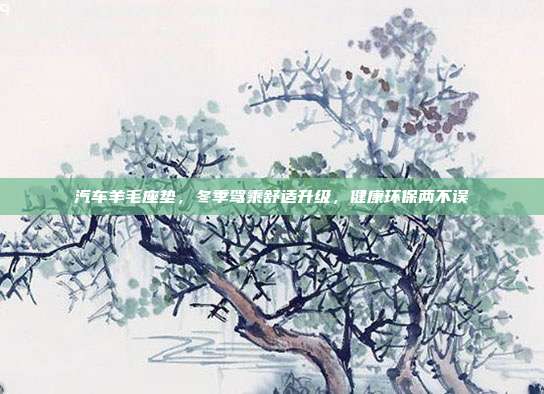 汽车羊毛座垫，冬季驾乘舒适升级，健康环保两不误