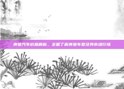 奔弛汽车价格解析，全面了解奔驰车型及其市场行情