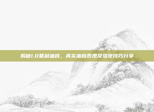 揭秘1.0夏利油耗，真实油耗表现及驾驶技巧分享