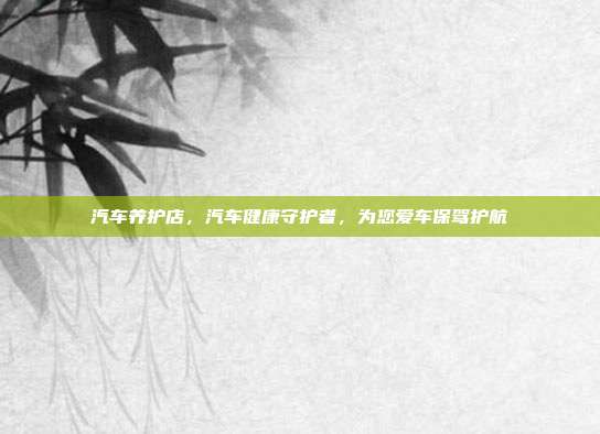 汽车养护店，汽车健康守护者，为您爱车保驾护航